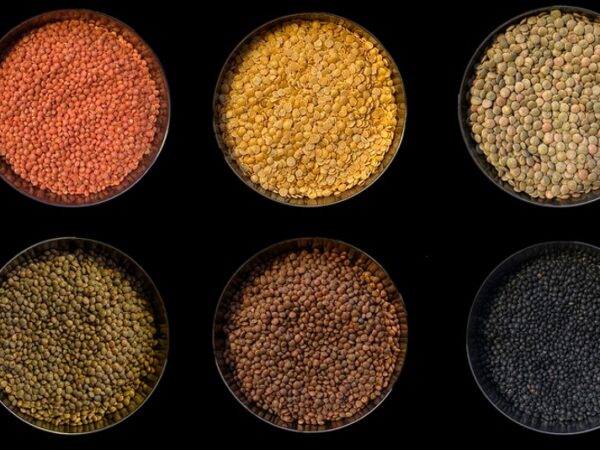 Lentils – Small but Mighty Source of Nutrients