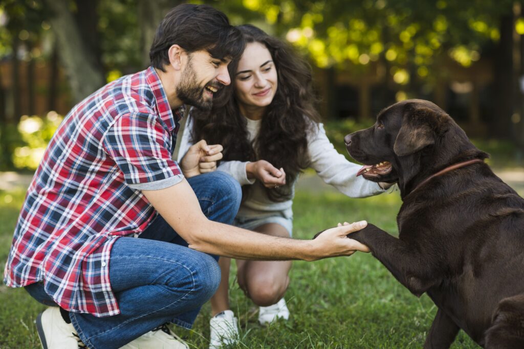 Build A Deeper Connection with Pet Dogs Study Reveals Trick to Strengthen Relationship with Them