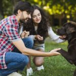 Build A Deeper Connection with Pet Dogs Study Reveals Trick to Strengthen Relationship with Them