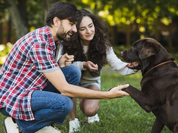 Build A Deeper Connection with Pet Dogs: Study Reveals Trick to Strengthen Relationship with Them